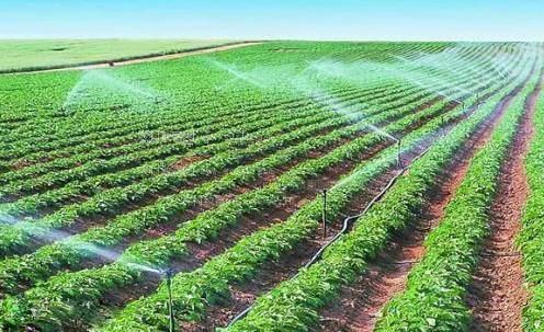 操逼视频aaabbb农田高 效节水灌溉